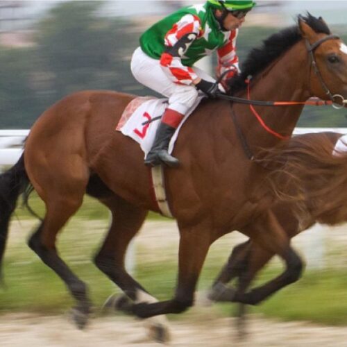 horse-racing-1